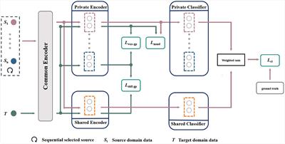 MISNet: multi-source information-shared EEG emotion recognition network with two-stream structure